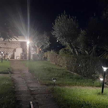 Casa Das 3 Palmeiras Arraiolos Zewnętrze zdjęcie