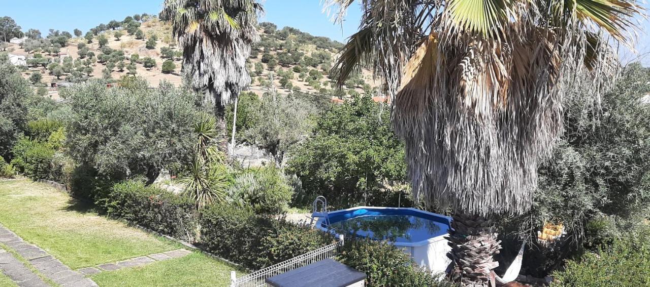Casa Das 3 Palmeiras Arraiolos Zewnętrze zdjęcie